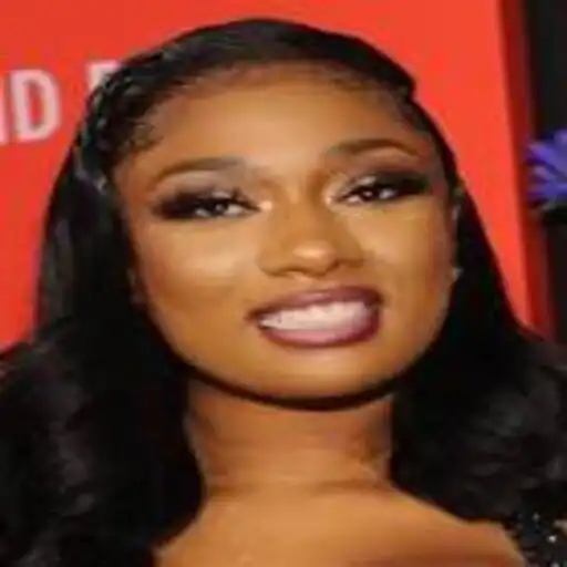 Play Megan Thee Stallion Songs APK