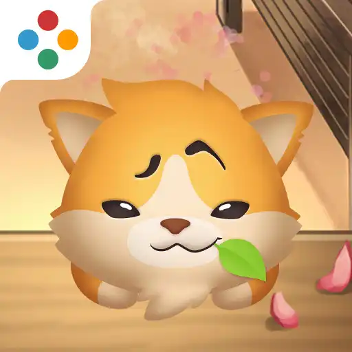 Play Meow Meow Sweety APK