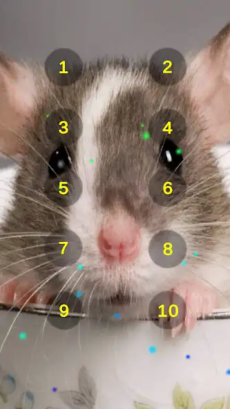 Play Mice And Mouse Vermin Sounds  and enjoy Mice And Mouse Vermin Sounds with UptoPlay