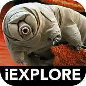 Free play online Micro Monsters iExplore APK