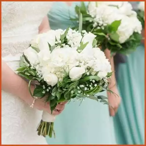 Play Mint Weddings APK