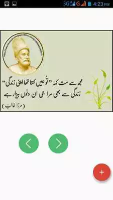 Play Mirza Ghalib (ghalib poetry in urdu)