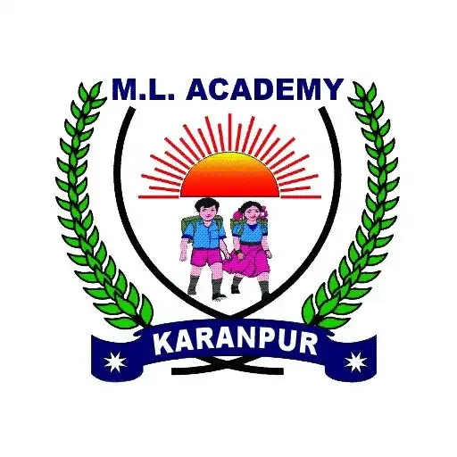 Play M L Academy Karanpur APK