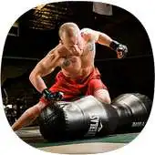 Free play online MMA Training APK