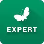 Free play online MN Experts APK