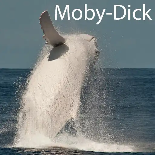 Play Moby Dick APK