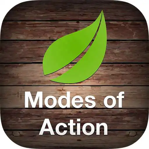 Play Modes of Action APK