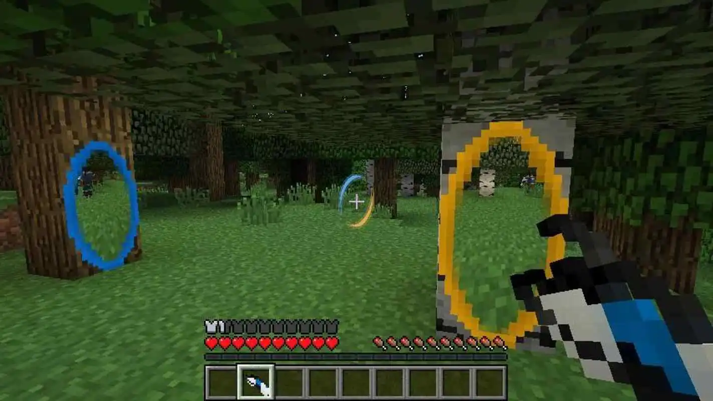 Play Mod Portal Gun 2 For MCPE