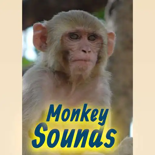 Play Monkey Sounds App And Ringtones Mp3 Offline APK