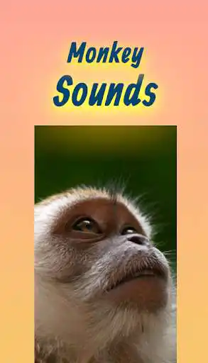 Play Monkey Sounds App And Ringtones Mp3 Offline  and enjoy Monkey Sounds App And Ringtones Mp3 Offline with UptoPlay