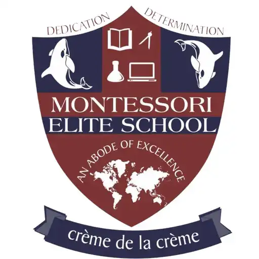 Play Montessori Elite EM School APK