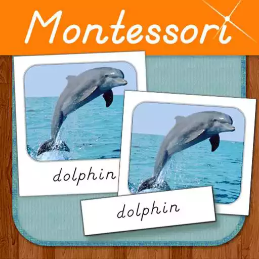 Play Montessori Three Part Cards - Animals (Matching) APK