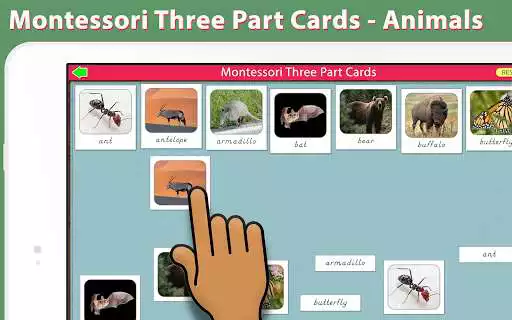 Play Montessori Three Part Cards - Animals (Matching)  and enjoy Montessori Three Part Cards - Animals (Matching) with UptoPlay