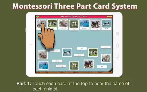 Play Montessori Three Part Cards - Animals (Matching) as an online game Montessori Three Part Cards - Animals (Matching) with UptoPlay