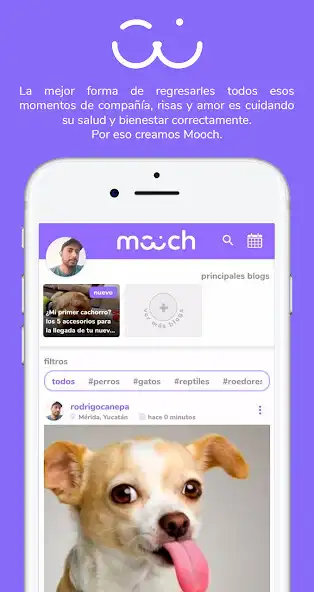 Play Mooch  and enjoy Mooch with UptoPlay