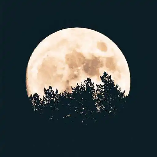 Play Moon Wallpaper 4K - Amoled APK