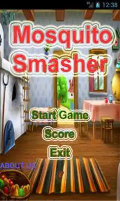 Play MosquitoSmasher