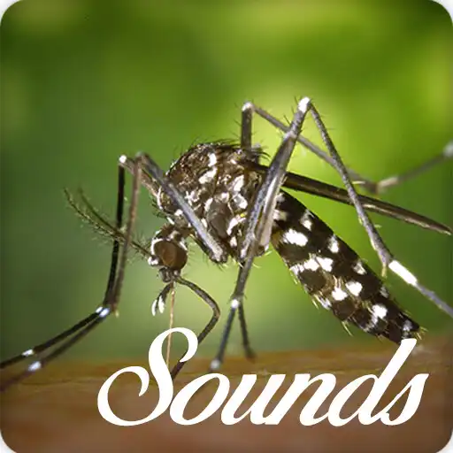 Play Mosquito Sounds and Ringtone Audio APK