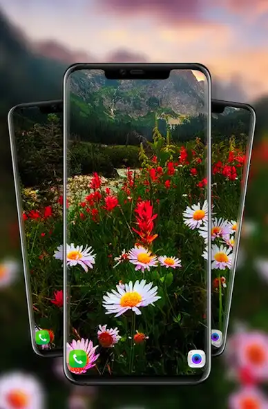 Play Mountain Flowers live wallpaper  and enjoy Mountain Flowers live wallpaper with UptoPlay