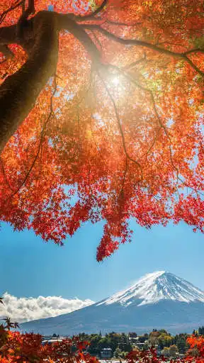 Play Mount Fuji Wallpapers