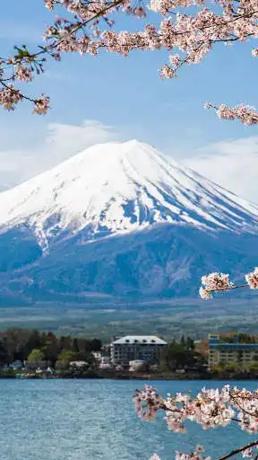 Play Mount Fuji Wallpapers