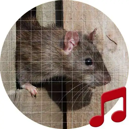 Run free android online Mouse and Rat Sounds ~ Sboard.pro APK