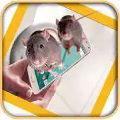 Free play online Mouse On Screen Joke APK