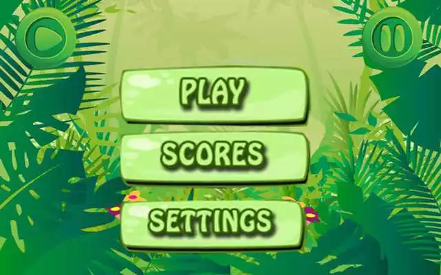 Play Mr Pean Rowan Jungle