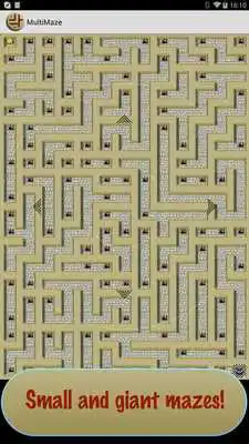 Play MultiMaze