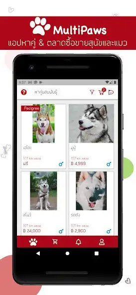 Play MultiPaws  and enjoy MultiPaws with UptoPlay