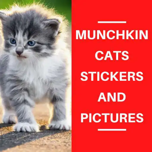 Play Munchkin Cats Stickers APK