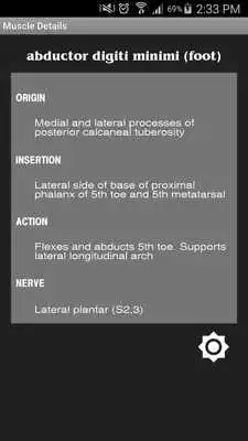 Play Muscles List (Anatomy)