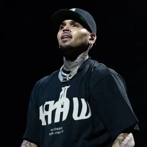 Play Music Chris Brown Songs Mp3 APK