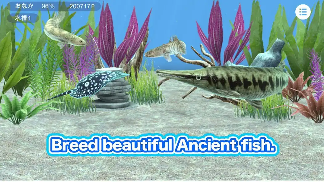 Play My ancient fish Aquarium  and enjoy My ancient fish Aquarium with UptoPlay