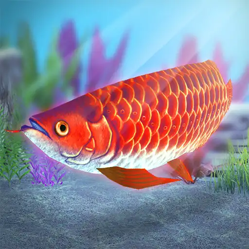 Play My Asian arowana Aquarium APK