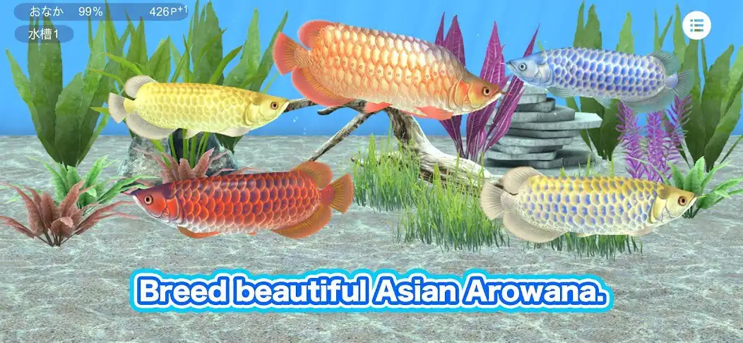 Play My Asian arowana Aquarium  and enjoy My Asian arowana Aquarium with UptoPlay