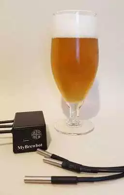 Play MyBrewbot