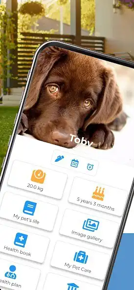 Play myBuddy pet app  and enjoy myBuddy pet app with UptoPlay