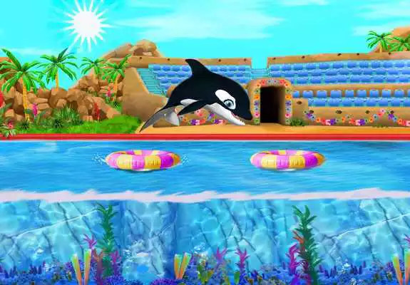 Play My Dolphin Show