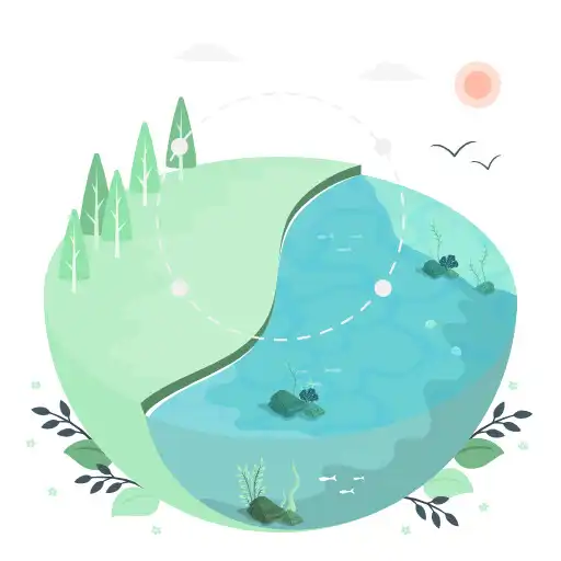 Play My Estuary APK