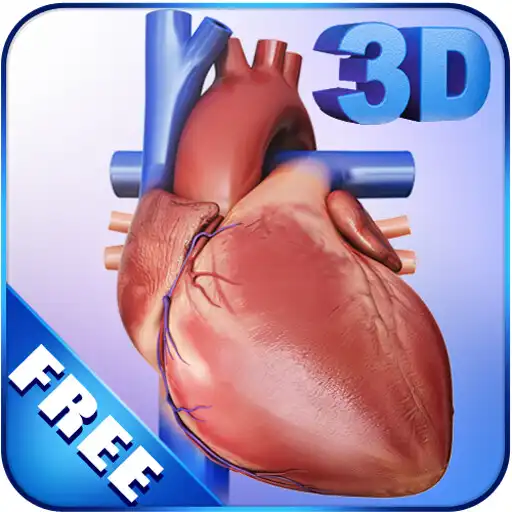 Play My Heart Anatomy APK