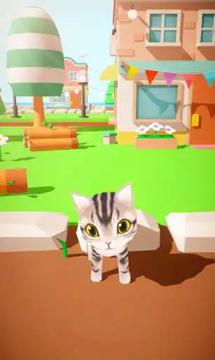 Play My Talking Kitten  and enjoy My Talking Kitten with UptoPlay