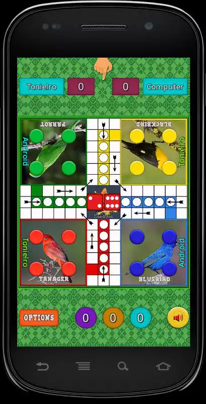 Play Naija Ludo