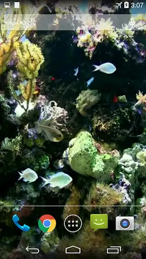 Play Natural Aquarium Wallpaper  and enjoy Natural Aquarium Wallpaper with UptoPlay