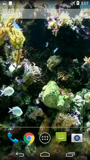 Play Natural Aquarium Wallpaper as an online game Natural Aquarium Wallpaper with UptoPlay