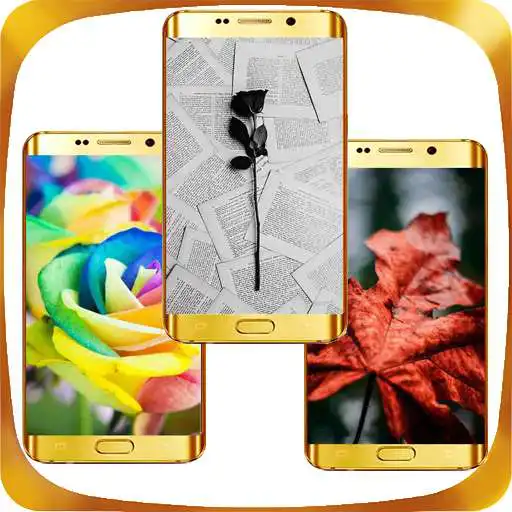 Play Naturalist Wallpaper APK