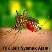 Free play online Natural Mosquito Banish Tricks APK