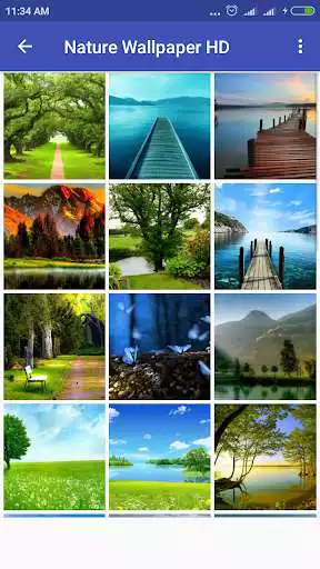 Play Nature Background Natural Wallpaper as an online game Nature Background Natural Wallpaper with UptoPlay