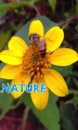 Play Nature  and enjoy Nature with UptoPlay