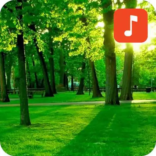 Play Nature Sound Effects APK